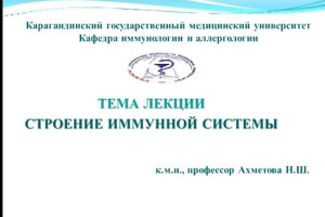Строение иммунной системы